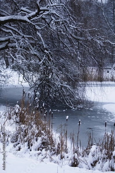 Obraz winter landscape with trees