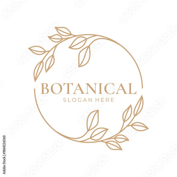 Fototapeta Elegant botanical leaf frame logo design