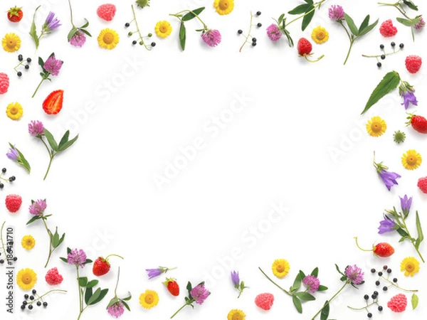 Obraz Composition pattern from plants, wild flowers and red berries, isolated on white background, flat lay, top view. The concept of summer, spring, Mother's Day, March 8. Frame of flowers and berries.