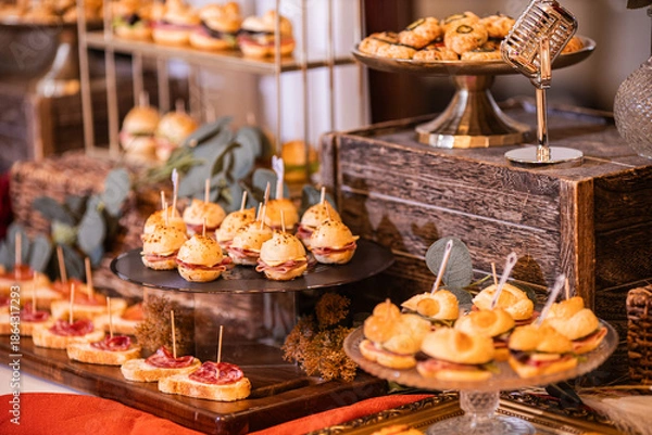 Obraz botanas saladas