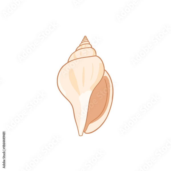 Fototapeta cute shell design very cool