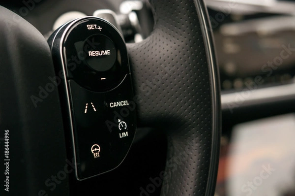 Obraz Buttons on the steering wheel