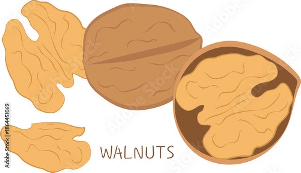 Obraz Walnuts Set – Isolated Food Design