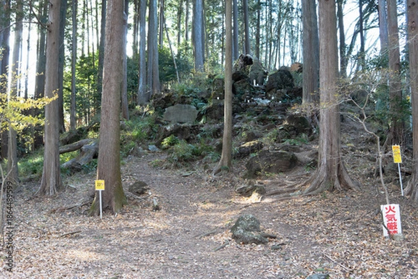 Obraz 日本：大平山／修験道の祖と言われる役行者像がある山【首都圏自然歩道】埼玉県越生町・1月