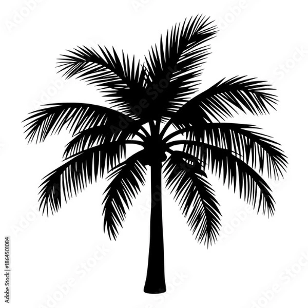 Obraz palm tree silhouette
