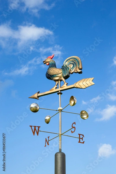 Obraz Retro weather vane and sky