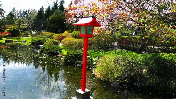 Obraz 百合が原公園の瀋芳園