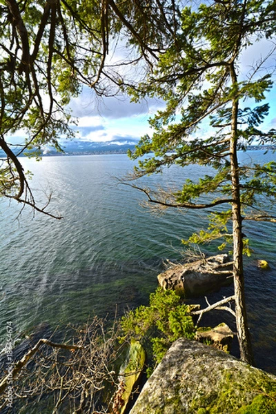 Fototapeta coastline