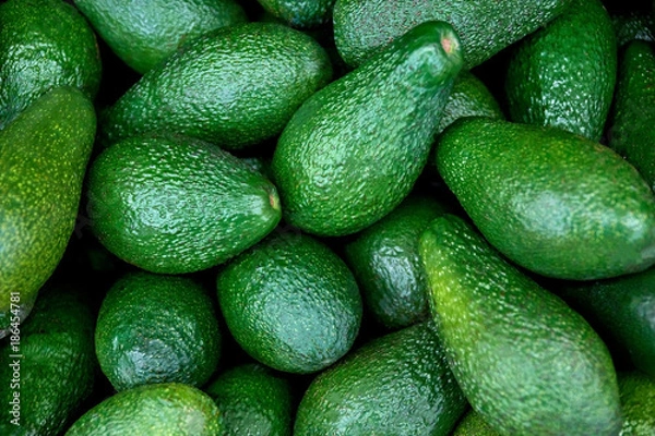 Obraz green fresh avocado