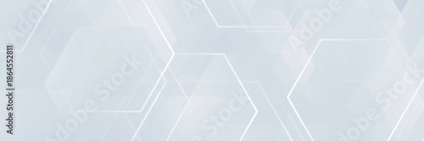Obraz Abstract white and grey hexagonal pattern background design
