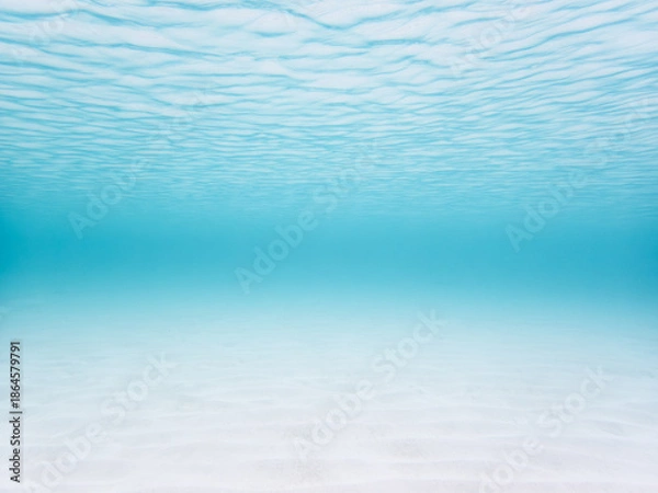 Obraz 波照間島の海中風景