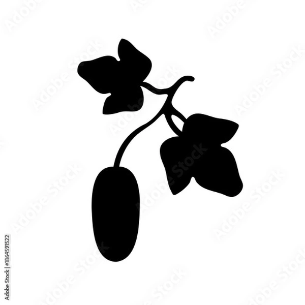 Obraz orchid isolated on white