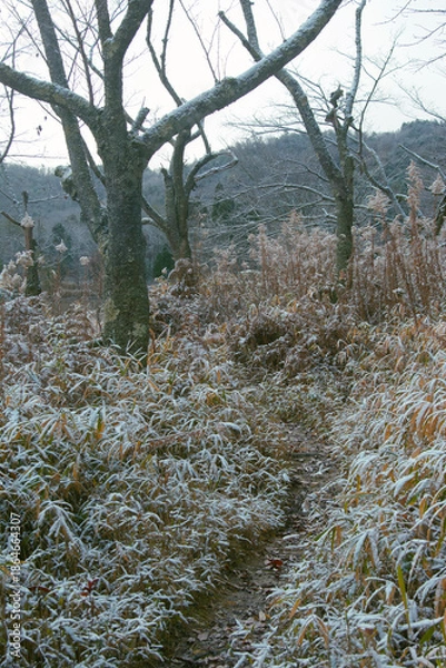 Obraz 兵庫県・三田市小野から千丈寺湖