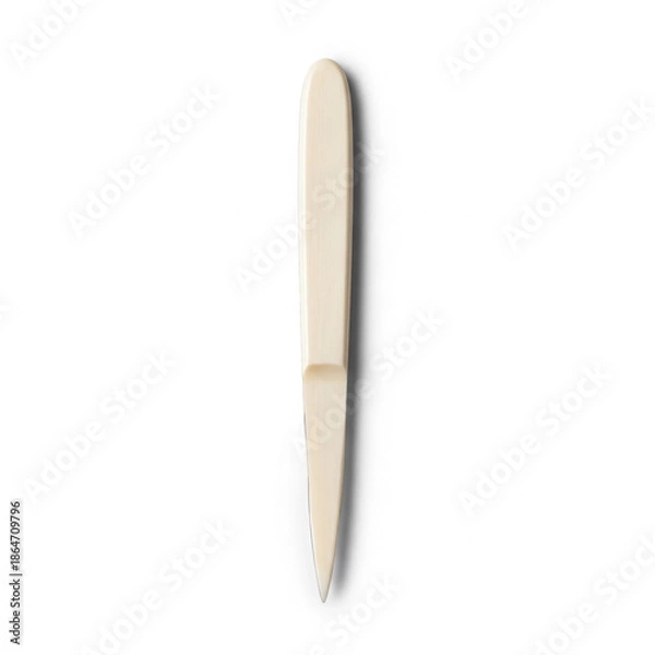 Obraz Studio Shot of Elegant Bone Folder Tool