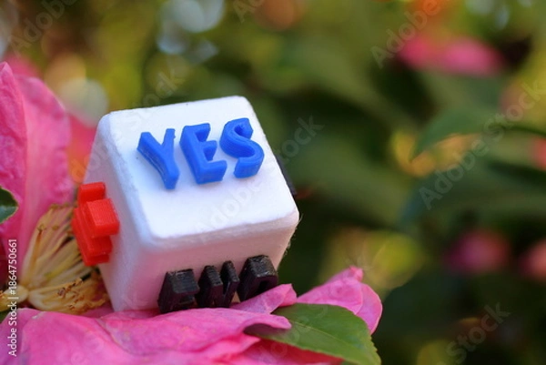 Obraz YESの文字が書かれたキューブの屋外写真