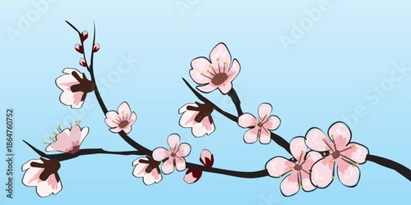 Obraz Spring blooming flowers branch Sakura cherry