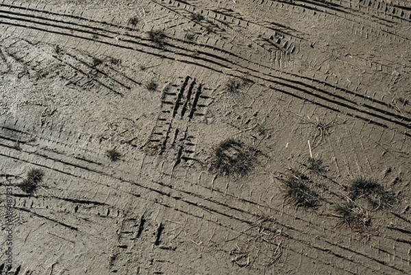 Obraz 土の上のタイヤ痕