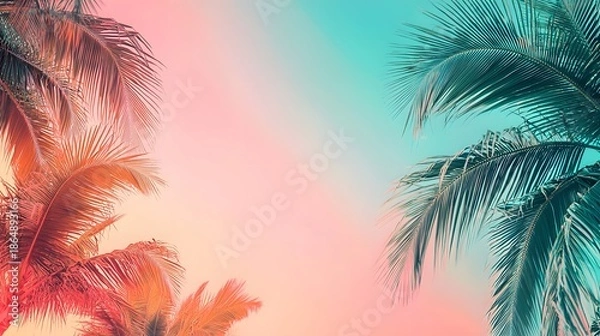 Obraz palm trees and sun