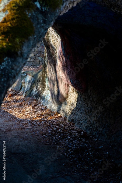 Obraz 서울 숲의 겨울 이야기