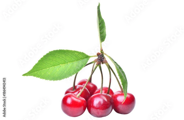 Obraz Cherry isolated on white background