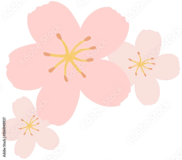 Obraz pink cherry blossom