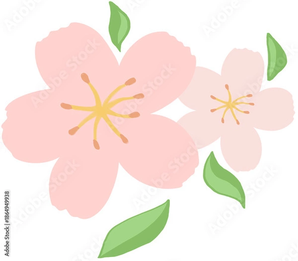 Obraz pink cherry blossom