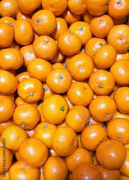 Obraz 스톡사진404