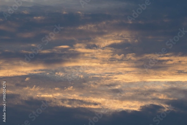 Obraz 自然　風景　夕方