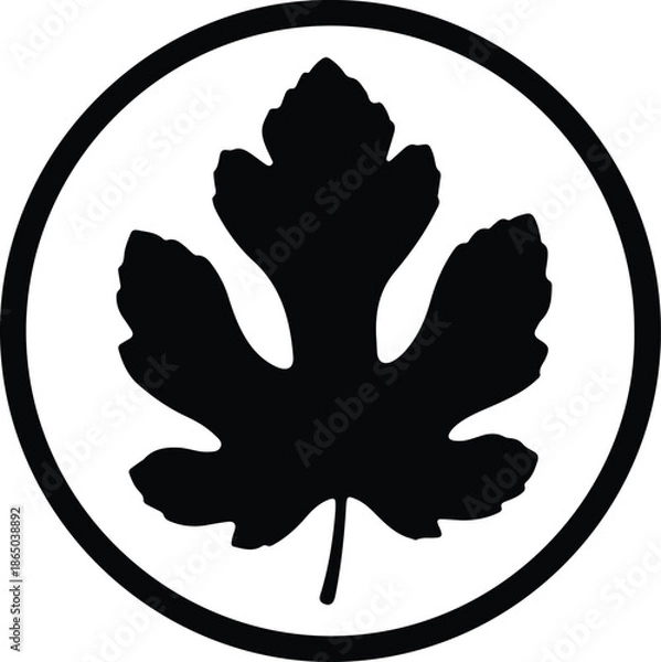 Obraz Silhouette Stylized Fig Leaf Icon Inside Circle Design Element Vector Illustration