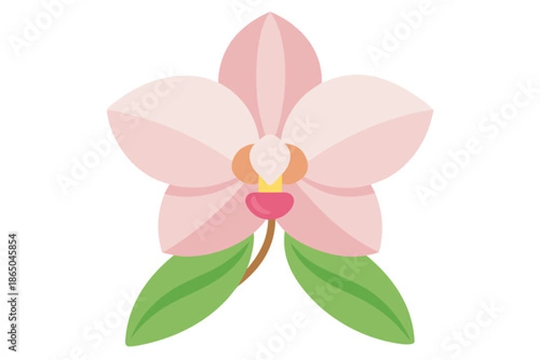 Obraz pink orchid flower