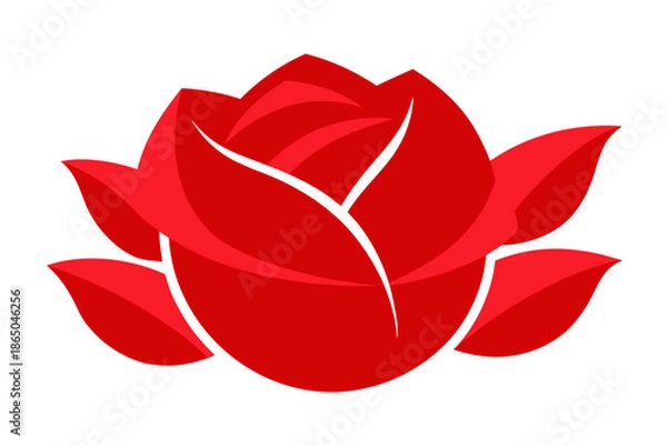 Obraz red rose vector illustration