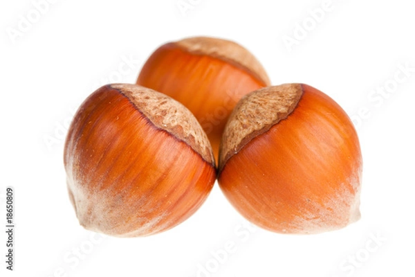 Fototapeta Hazelnuts