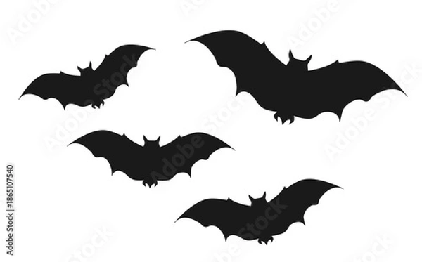 Obraz halloween bat and bats
