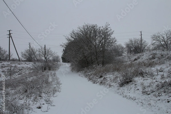 Obraz A snowy landscape with trees
