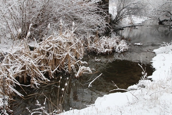 Obraz A stream with snow
