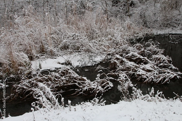 Obraz A river with trees and snow