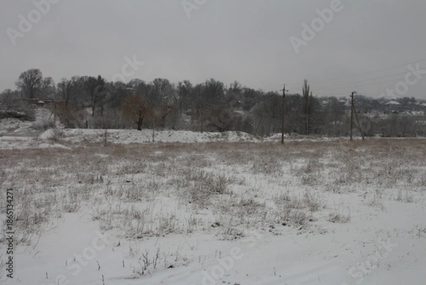 Obraz A field with snow