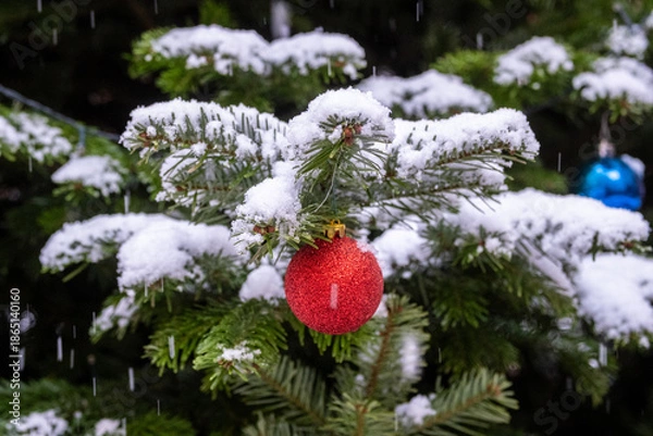 Obraz Christmas tree