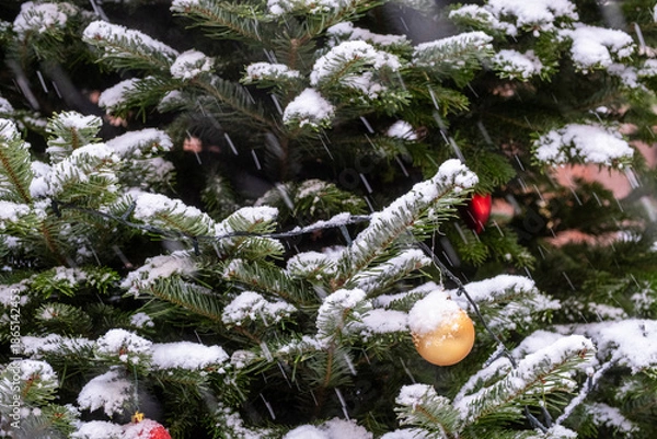 Obraz Christmas tree