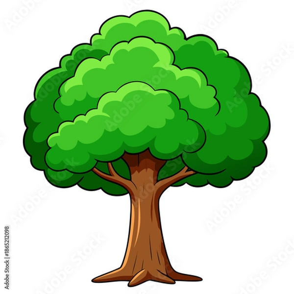 Obraz green tree isolated on white