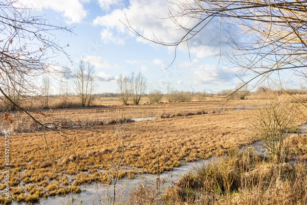 Obraz winter landscape with snow and trees