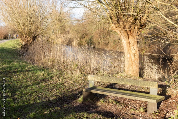 Obraz bench in the park
