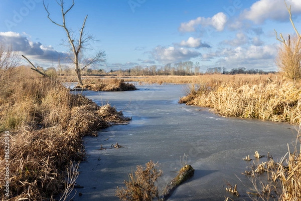 Obraz winter landscape with river