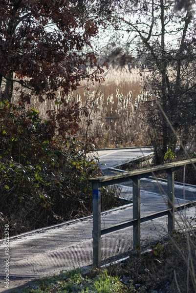 Obraz bench in the park
