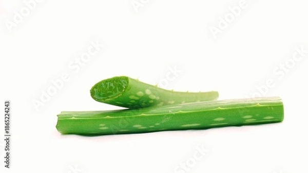 Obraz aloe vera leaf