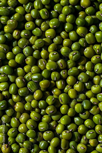 Obraz Green Mung Beans Texture Background in Natural Pattern
