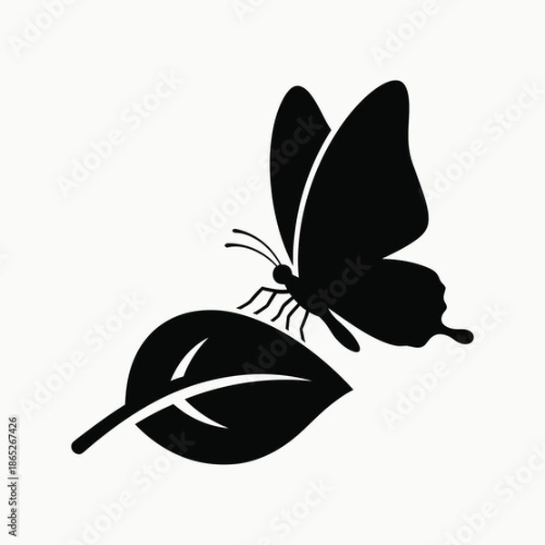 Fototapeta Butterfly on leaf