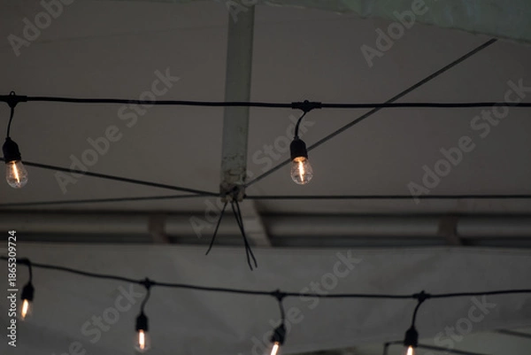 Obraz A lightbulb on wire in tent
