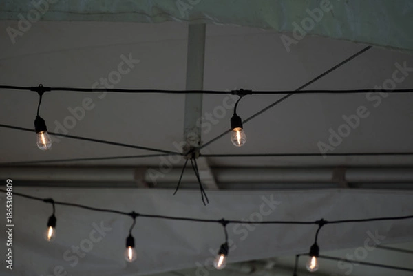 Obraz A lightbulb on wire in tent