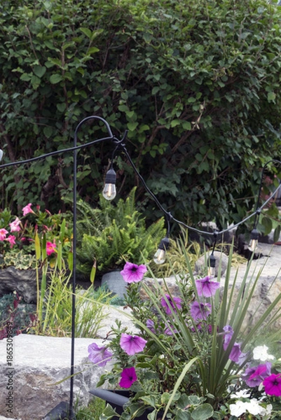 Obraz A light cord in garden